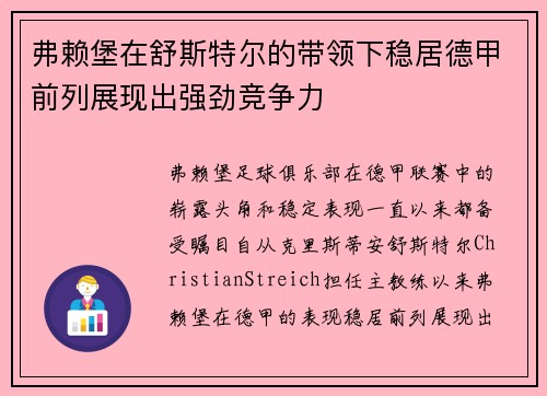 弗赖堡在舒斯特尔的带领下稳居德甲前列展现出强劲竞争力